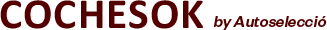 Auto Seleccio Logotipo hover