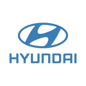 Auto Seleccio Marca Hyundai